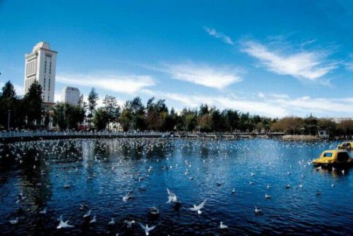 中國最養(yǎng)人城市TOP9榜單出爐 山東青島位居榜首