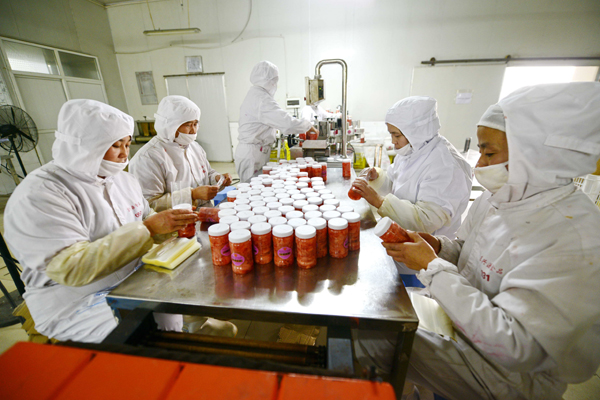 山東萊蕪:拉長(zhǎng)生姜產(chǎn)業(yè)鏈條