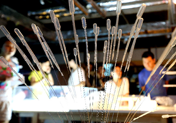 新媒體藝術(shù)展亮相上海