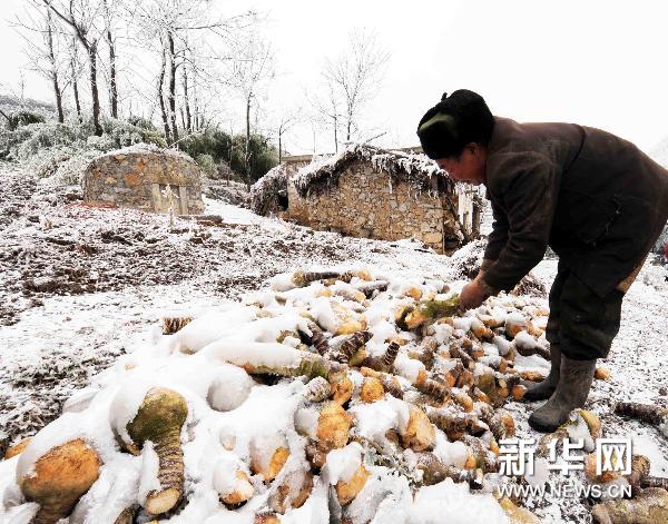 南方極寒北方極旱 2011 極寒極旱之年? 組圖