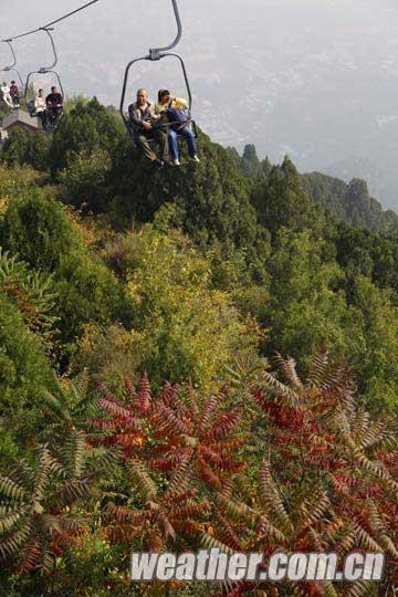 第24屆香山紅葉文化節(jié)開幕 氣溫導致紅葉變色推遲（圖）