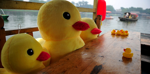 葉夢圓確遭救護車碾壓致死 舊金山消防局局長道歉