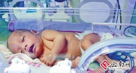 男嬰出生20余天被遺棄花壇 心跳生命體征平穩(wěn)(圖)