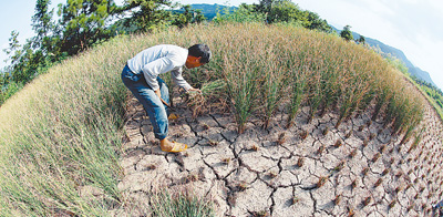 高溫難退，“烤”驗(yàn)持續(xù)(熱點(diǎn)解讀)