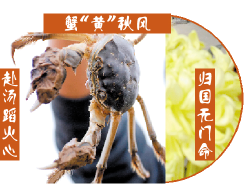 德國大閘蟹“戰(zhàn)敗”賠款 電商：“我們搞砸了”