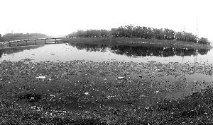 北京出臺(tái)濕地保護(hù)辦法:挖野菜撿鳥蛋最高罰五千