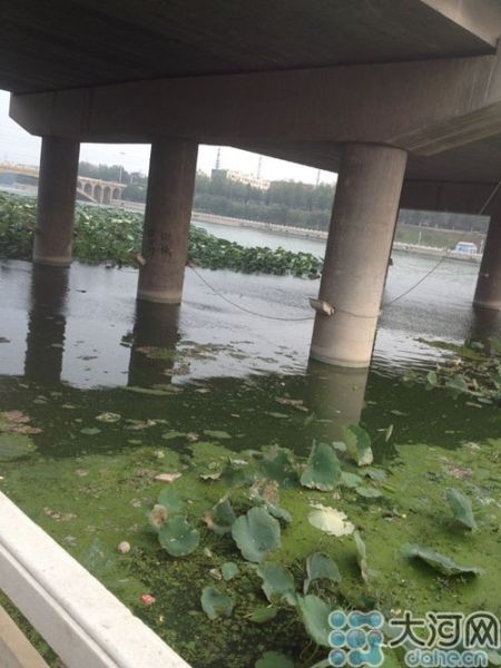 禹州九歲男童遍體刀傷致死 母親當(dāng)場(chǎng)精神失常