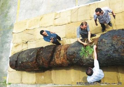 江西修水林業(yè)局付給天價千年烏木發(fā)現(xiàn)者7萬余元