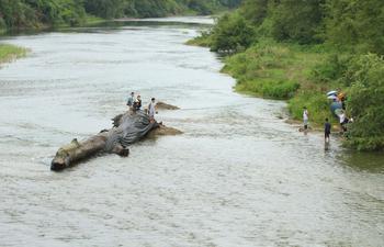 江西修水林業(yè)局付給天價(jià)千年烏木發(fā)現(xiàn)者7萬(wàn)余元