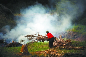 城市化留下農(nóng)村無(wú)人照看老人:兒女只在墻上留下電話(huà)