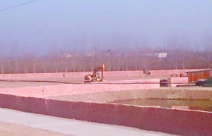 小區(qū)旁建墓地引來居民不滿 村委會竟許諾墓地建好后每家送一個