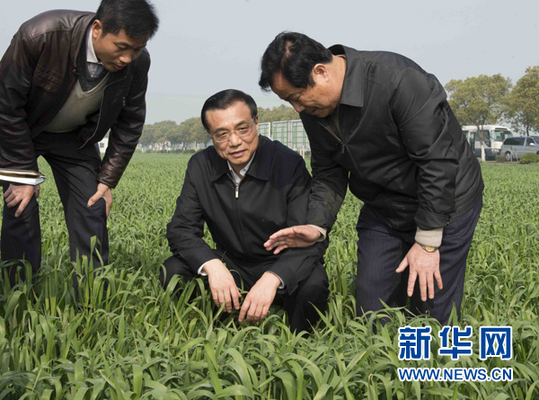 從李克強(qiáng)總理考察家庭農(nóng)場(chǎng)看現(xiàn)代農(nóng)業(yè)發(fā)展新趨向