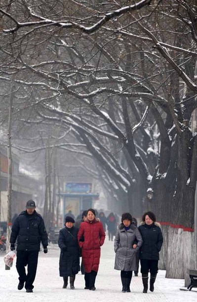 各地迎來(lái)新年初雪