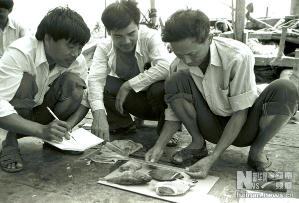 珍貴！1991年西沙科考海量歷史照