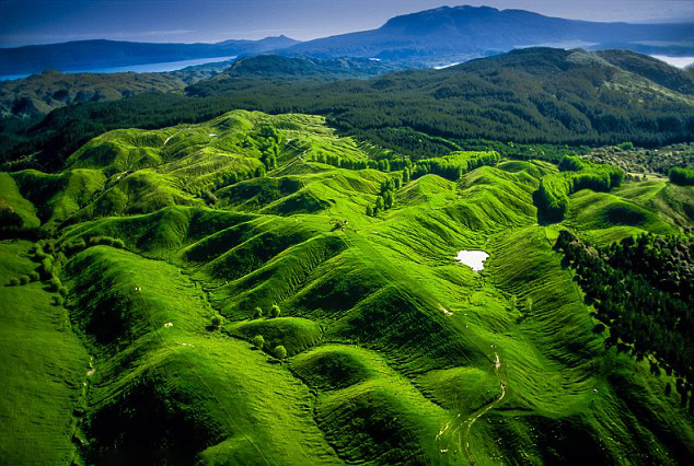 2013度假首選 從巴西到斯里蘭卡【組圖】