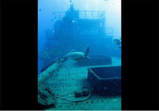 一船裝5萬(wàn)枚金幣 探秘全球各地沉船寶庫(kù)！