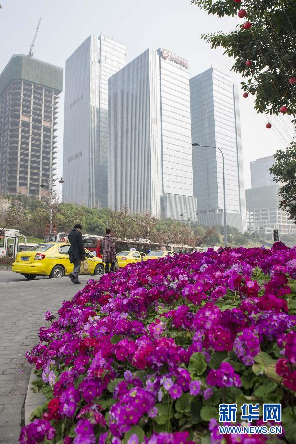 “花開意盎然，雀鳥上枝頭”：聽！春天的腳步聲