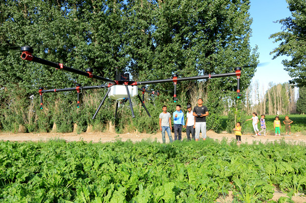 新疆博湖:植保無人機(jī)助農(nóng)豐產(chǎn)增收