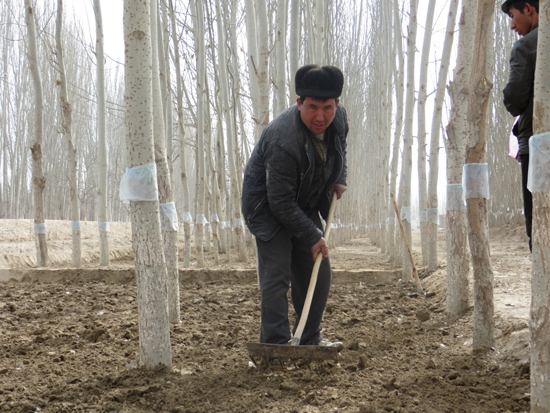 將“雙膜”種植技術(shù)進(jìn)行到底