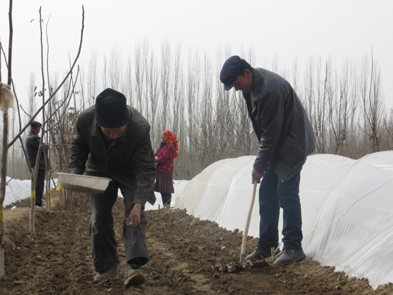 將“雙膜”種植技術(shù)進(jìn)行到底