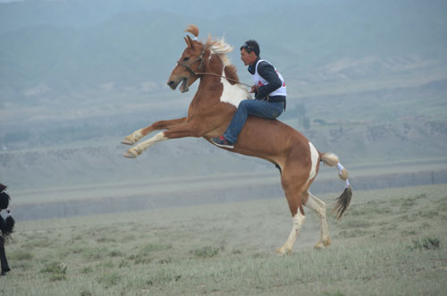 賽馬、馬上叼羊等讓農(nóng)牧民享哈薩克族傳統(tǒng)文化之樂