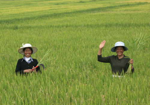 云南打響“耕地紅線”保衛(wèi)仗