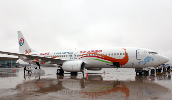 東航云南公司引進全新彩繪飛機扮靚云嶺天空