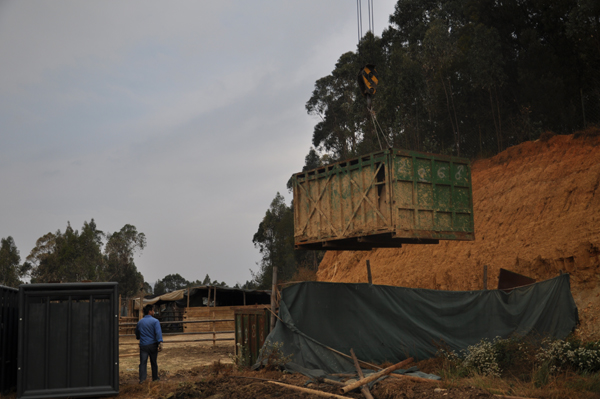 犀牛重返云南普洱 先訓(xùn)練自己進運輸籠