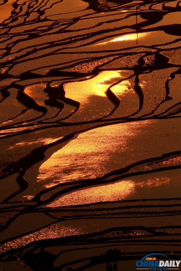 云南元陽自駕攝影之旅：哈尼梯田三月春夢(mèng)幻