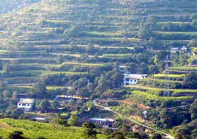 Land-forest conversion continues in the west