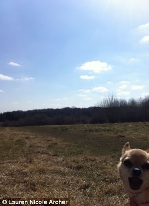 組圖：英網(wǎng)友曬自家寵物“搶鏡”照