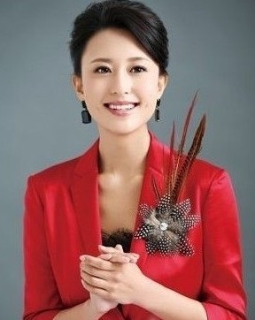 嫁豪門的央視女主播大pk 張蕾青春靚麗