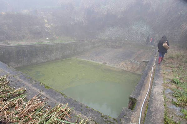 習(xí)近平助美國(guó)老人圓夢(mèng)鼓嶺