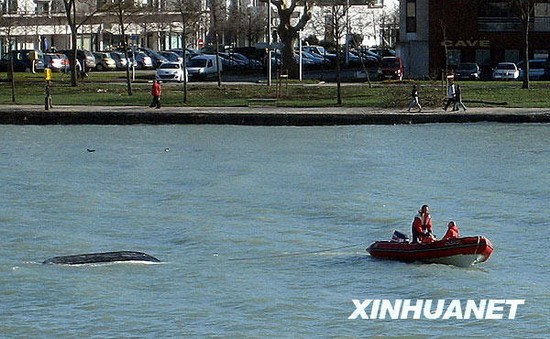 強風暴襲擊歐洲 法國45人死亡百萬戶停電