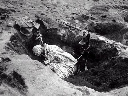 日軍兩處千人冢被發(fā)現(xiàn) 揭示硫磺島戰(zhàn)役之殘酷