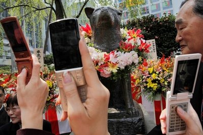 駐阿英軍防暴犬因主人陣亡傷心致死 曾搭檔救命無數(shù)