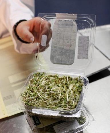 德國稱基本確認(rèn)“毒豆芽”是大腸桿菌疫情元兇