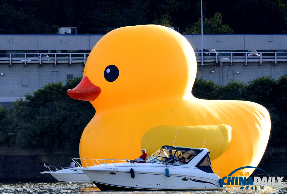 匹茲堡市迎來(lái)第一只美國(guó)版超萌“大黃鴨”(組圖)