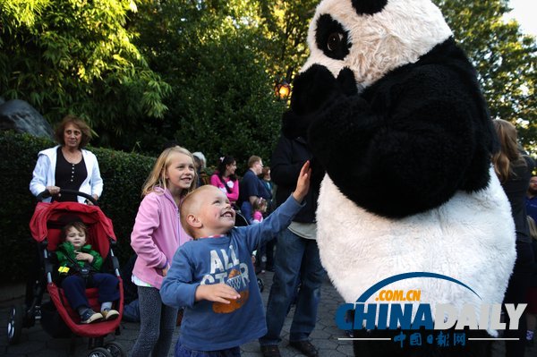 美國華盛頓一動物園重開 大熊貓“添添”可愛亮相(組圖)