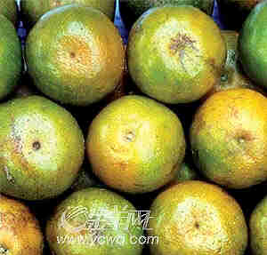 秋季多食酸味果蔬(圖)