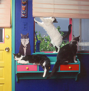 世界上最豪華的貓宅(組圖)