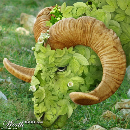 知名藝術(shù)網(wǎng)站擺圖片設(shè)計(jì)擂臺(tái)賽（組圖）