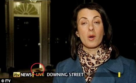 不堪老鼠侵?jǐn)_ 英國首相府欲招“公務(wù)貓”