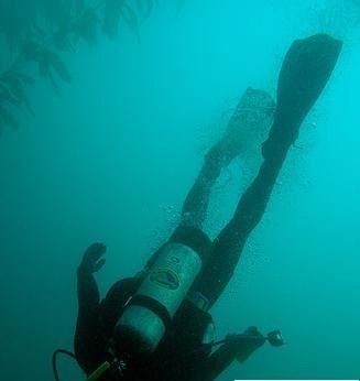 怪！世界竟有如此奇特的過年習(xí)俗(組圖)