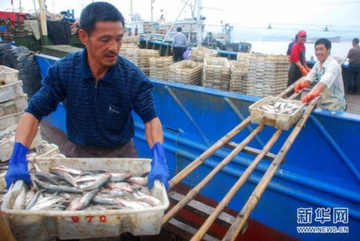 我國(guó)東海區(qū)5萬(wàn)多艘漁船今日起全面休漁