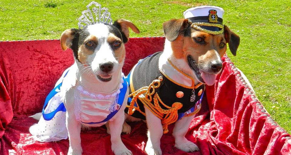 英民眾歡慶女王登基60年 旗幟飄揚、眼鏡蛋糕熱銷