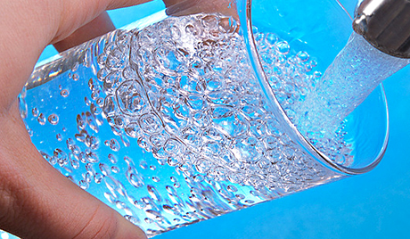 瑞典專家大膽預(yù)言:2050年前世人皆素食方可生存