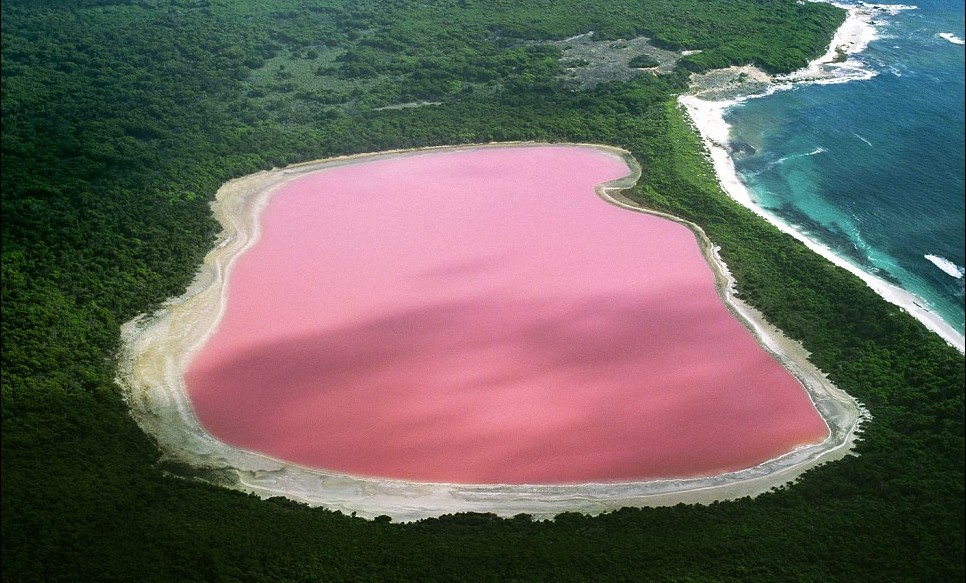 讀圖:錦繡星球之“神作”