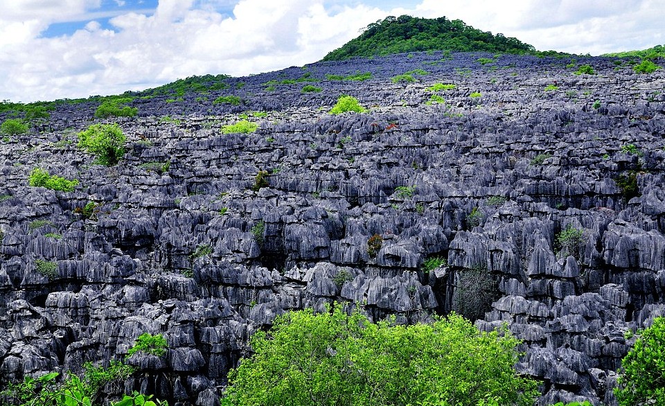 讀圖:錦繡星球之“神作”