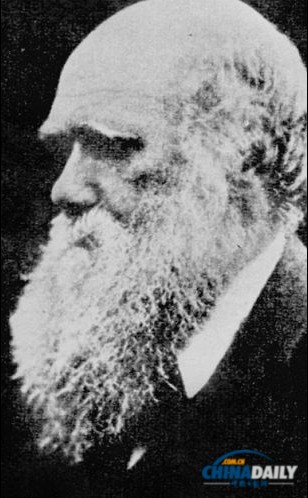 人類(lèi)越來(lái)越笨？ 研究稱(chēng)人類(lèi)智力和反應(yīng)速度正在衰退